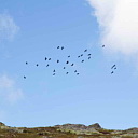 ** PLEASE DESCRIBE THIS IMAGE **