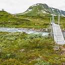 ** PLEASE DESCRIBE THIS IMAGE **