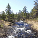 ** PLEASE DESCRIBE THIS IMAGE **