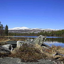 ** PLEASE DESCRIBE THIS IMAGE **