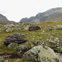 ** PLEASE DESCRIBE THIS IMAGE **