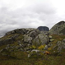 ** PLEASE DESCRIBE THIS IMAGE **