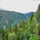 ** PLEASE DESCRIBE THIS IMAGE **