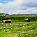 ** PLEASE DESCRIBE THIS IMAGE **