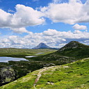 ** PLEASE DESCRIBE THIS IMAGE **