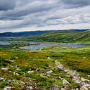 ** PLEASE DESCRIBE THIS IMAGE **