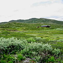 ** PLEASE DESCRIBE THIS IMAGE **