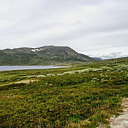 ** PLEASE DESCRIBE THIS IMAGE **