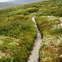 ** PLEASE DESCRIBE THIS IMAGE **