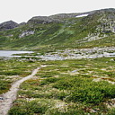 ** PLEASE DESCRIBE THIS IMAGE **