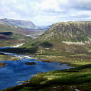 ** PLEASE DESCRIBE THIS IMAGE **