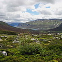 ** PLEASE DESCRIBE THIS IMAGE **