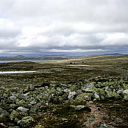 ** PLEASE DESCRIBE THIS IMAGE **