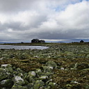 ** PLEASE DESCRIBE THIS IMAGE **