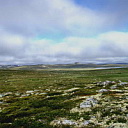 ** PLEASE DESCRIBE THIS IMAGE **