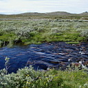 ** PLEASE DESCRIBE THIS IMAGE **