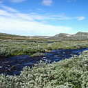 ** PLEASE DESCRIBE THIS IMAGE **