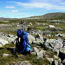 ** PLEASE DESCRIBE THIS IMAGE **