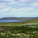 ** PLEASE DESCRIBE THIS IMAGE **