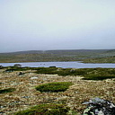 ** PLEASE DESCRIBE THIS IMAGE **