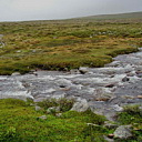 ** PLEASE DESCRIBE THIS IMAGE **