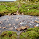 ** PLEASE DESCRIBE THIS IMAGE **