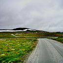 ** PLEASE DESCRIBE THIS IMAGE **