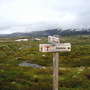 ** PLEASE DESCRIBE THIS IMAGE **