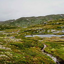 ** PLEASE DESCRIBE THIS IMAGE **