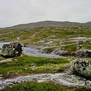 ** PLEASE DESCRIBE THIS IMAGE **