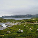 ** PLEASE DESCRIBE THIS IMAGE **