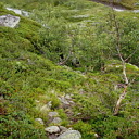 ** PLEASE DESCRIBE THIS IMAGE **