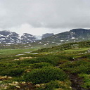 ** PLEASE DESCRIBE THIS IMAGE **