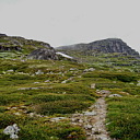 ** PLEASE DESCRIBE THIS IMAGE **