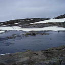 ** PLEASE DESCRIBE THIS IMAGE **