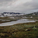 ** PLEASE DESCRIBE THIS IMAGE **