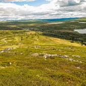 ** PLEASE DESCRIBE THIS IMAGE **