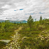 ** PLEASE DESCRIBE THIS IMAGE **