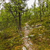 ** PLEASE DESCRIBE THIS IMAGE **