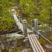 ** PLEASE DESCRIBE THIS IMAGE **