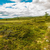 ** PLEASE DESCRIBE THIS IMAGE **