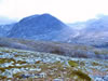 ** PLEASE DESCRIBE THIS IMAGE **