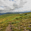 ** PLEASE DESCRIBE THIS IMAGE **