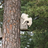 ** PLEASE DESCRIBE THIS IMAGE **