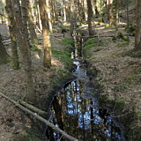 ** PLEASE DESCRIBE THIS IMAGE **