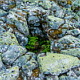 ** PLEASE DESCRIBE THIS IMAGE **